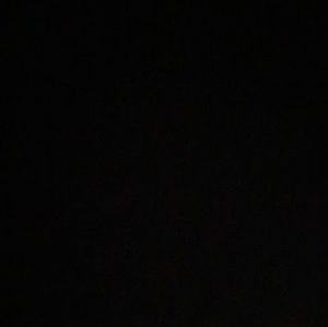 Meet your Posher, Brady